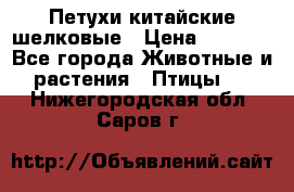 Петухи китайские шелковые › Цена ­ 1 000 - Все города Животные и растения » Птицы   . Нижегородская обл.,Саров г.